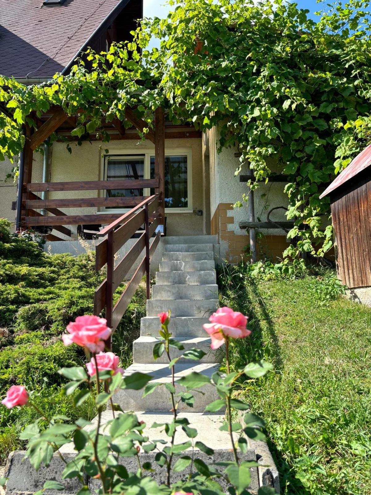 Apartman Vendy Karlowe Wary Zewnętrze zdjęcie